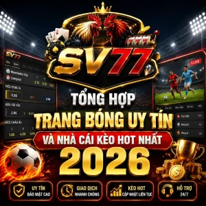 anh dai dien 1