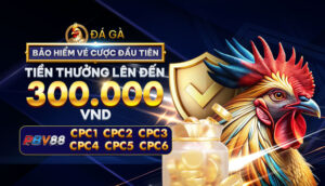 Đá Gà SV77 – Trực Tiếp Thomo Hôm Nay, Tỷ Lệ Cược Hấp Dẫn