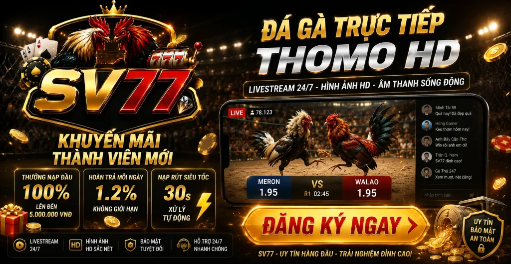 Đăng ký SV77 để theo dõi đá gà trực tiếp và nhận ưu đãi hấp dẫn