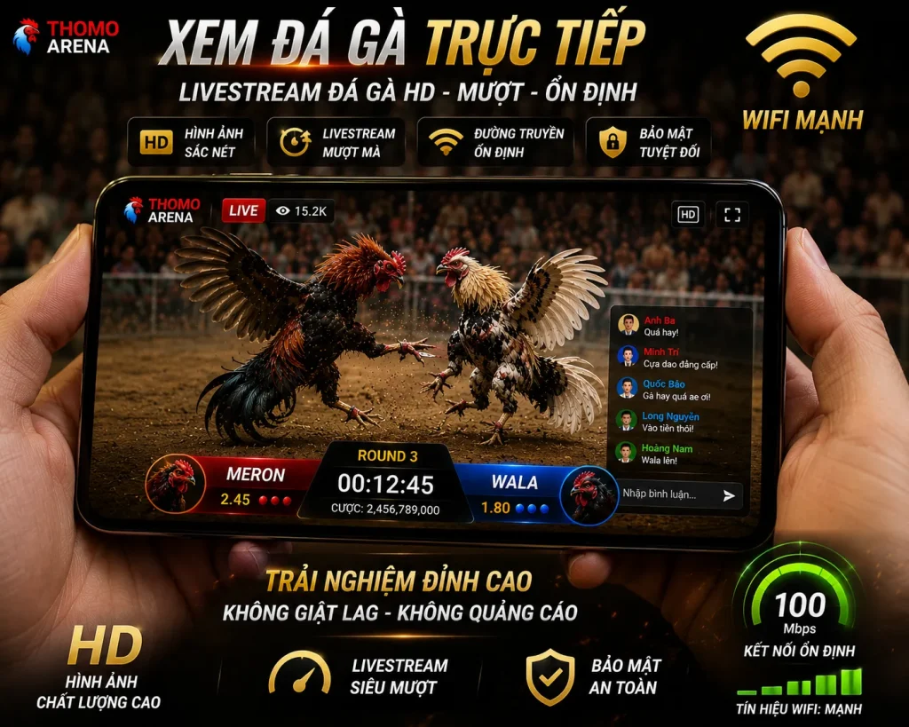 Kết nối internet ổn định giúp xem livestream đá gà HD không giật lag